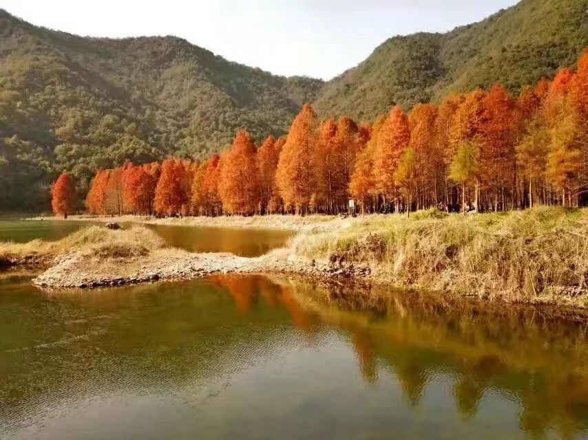 【图集】江南喀纳斯,临海小芝桐坑实拍