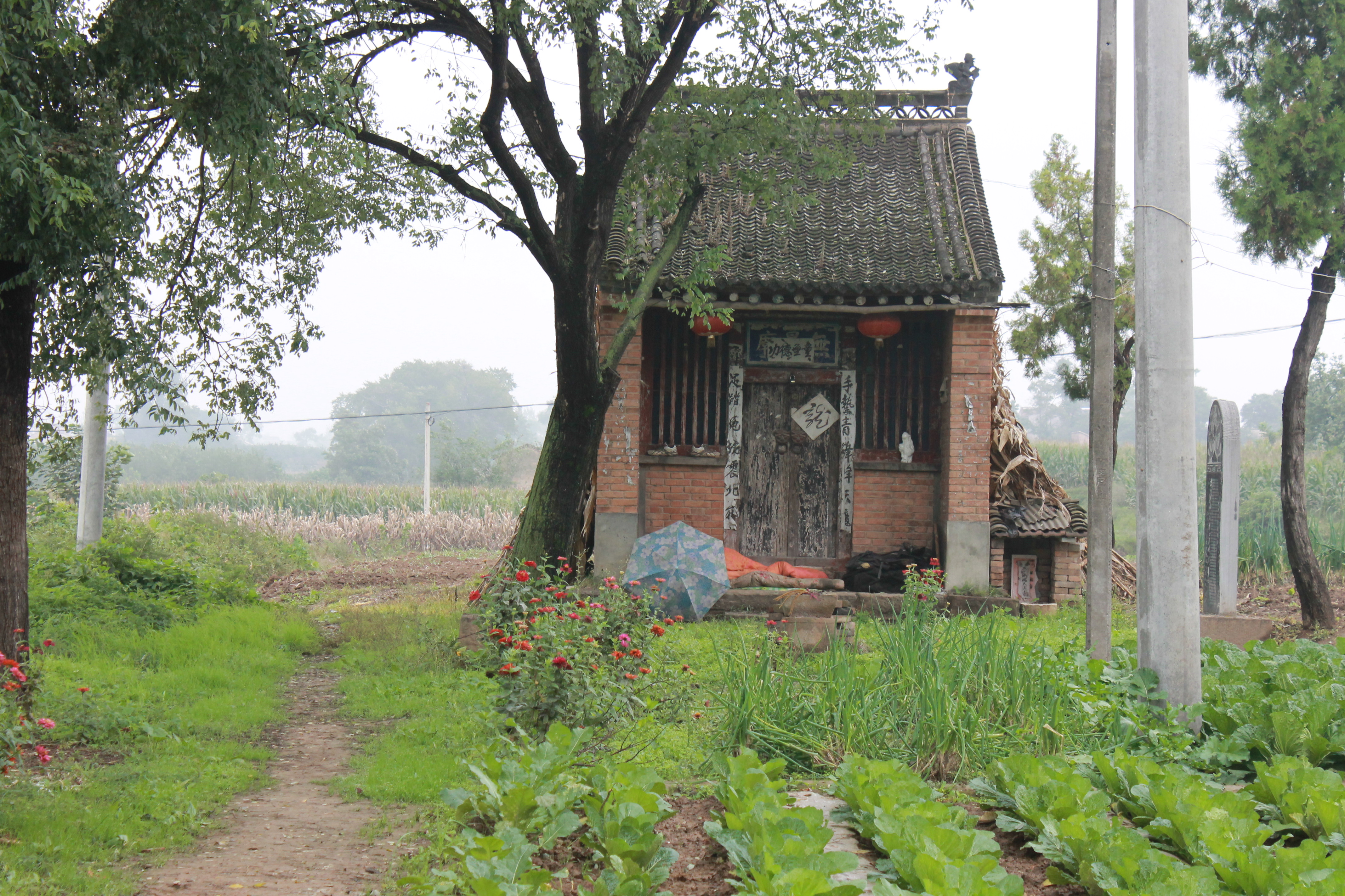 美丽的农村,广袤的土地