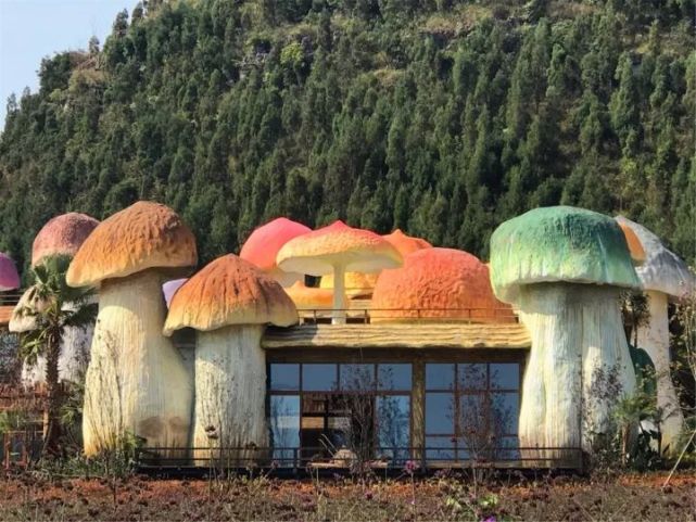 北京密云蘑菇屋图片