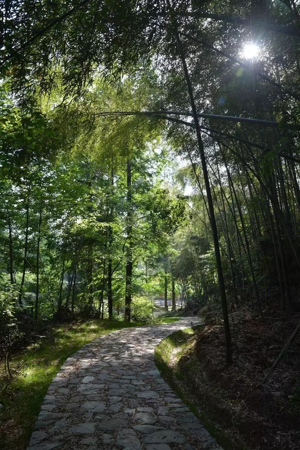 蕭山南部的逆襲不再是被遺忘的角落八大鎮要打造一個大景區