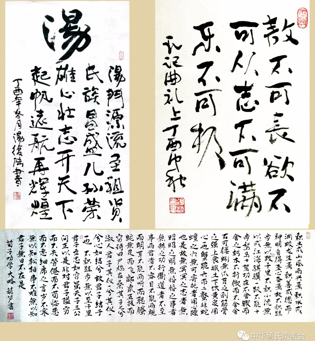 汤氏艺苑最全的汤字书法作品集正在收集更多书画作品实时更新汤氏集字