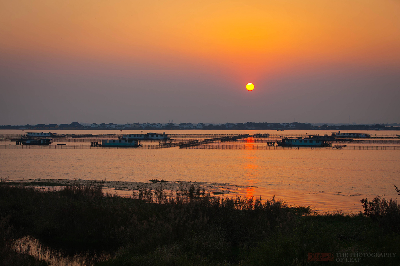 阳澄湖景区图片