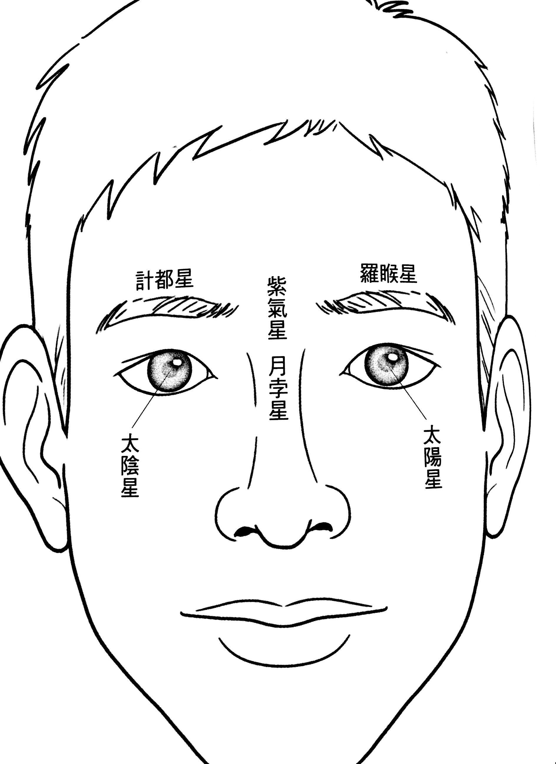 面相灶门图片