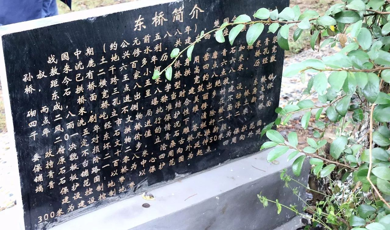 全域旅游之乡村游东桥镇东桥村