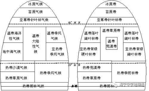 答疑解惑为什么温带海洋性气候是落叶林