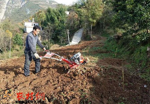 記旬陽縣甘溪鎮劉家院村殘疾人安金寶脫貧故事