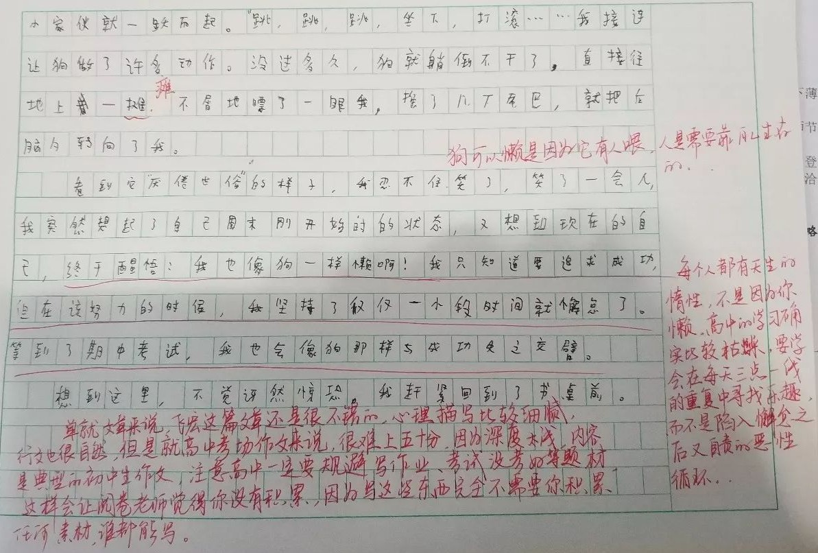 改作文批註比原文字還多他死磕教學把細節做到極致