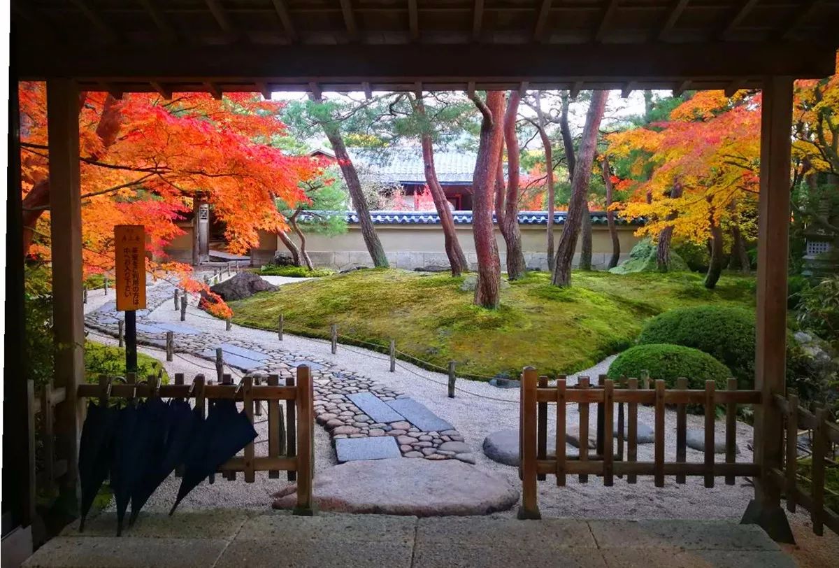 【人文園冶大學堂】紅葉季2017日本園林景觀高級研學營考察之旅開啟