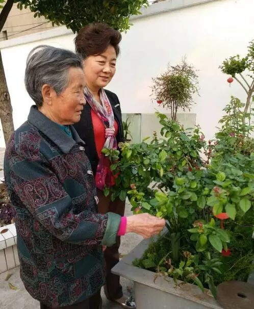 曹习琴最美家庭事迹曹习琴家庭,乔晶茗家庭让我们走近两户创业家庭