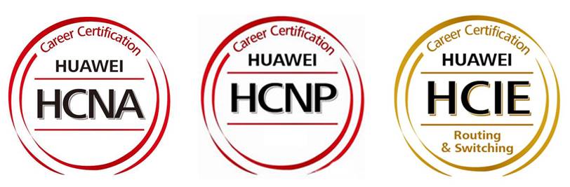 network professional 华为认证网络资深工程师●hcie-huawei