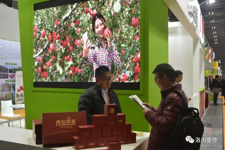 15张靓图与您一同分享洛川苹果上海亚果会之旅