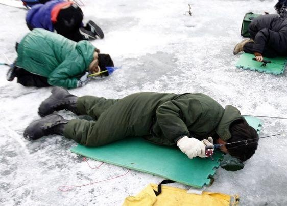 小雪到冬至,是釣魚人冰釣出行的最佳三十天