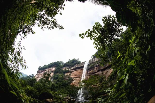 旅遊康養四面山這個項目備受期待