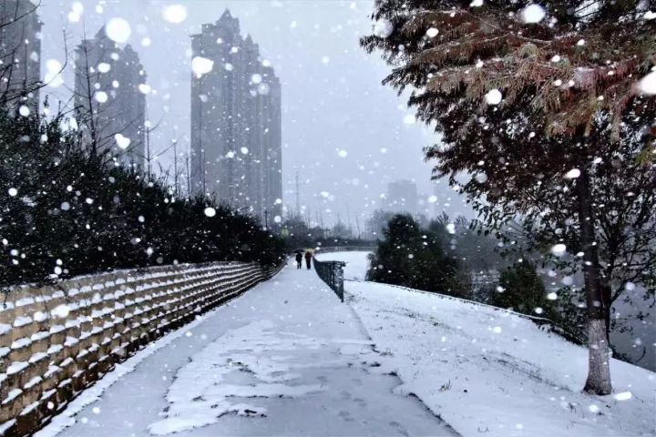 漯河将迎今冬第一场雪!还有这7件事,接下来会更崩溃.