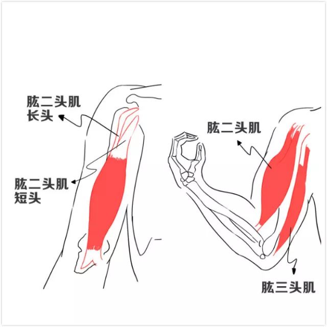 英雄健成记 