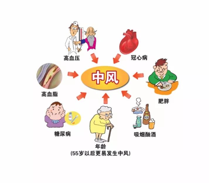 脑卒中的一级预防改变不健康的生活方式(吸烟,酗酒,长期熬夜等;控制