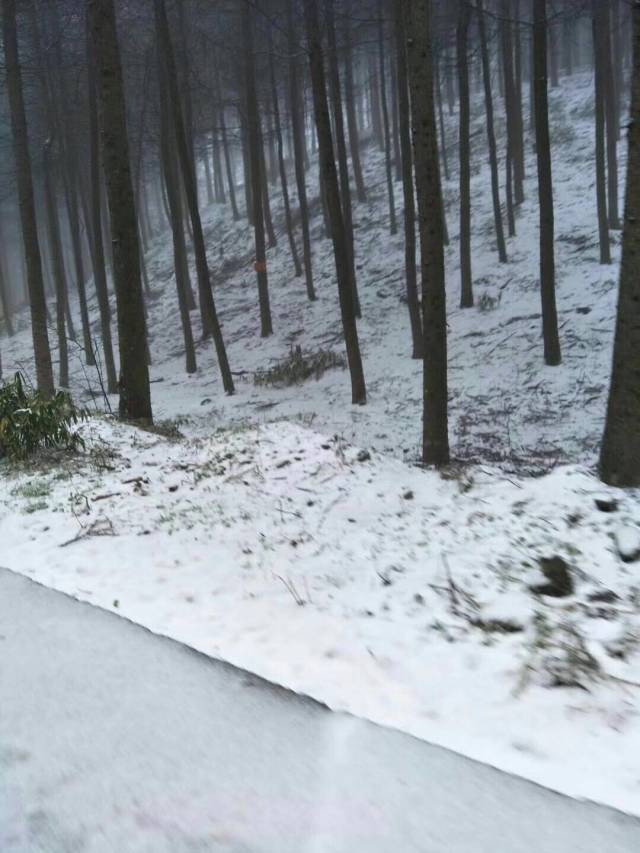 【下雪了】巫山今冬第一场雪下在这里!难怪这么冷!