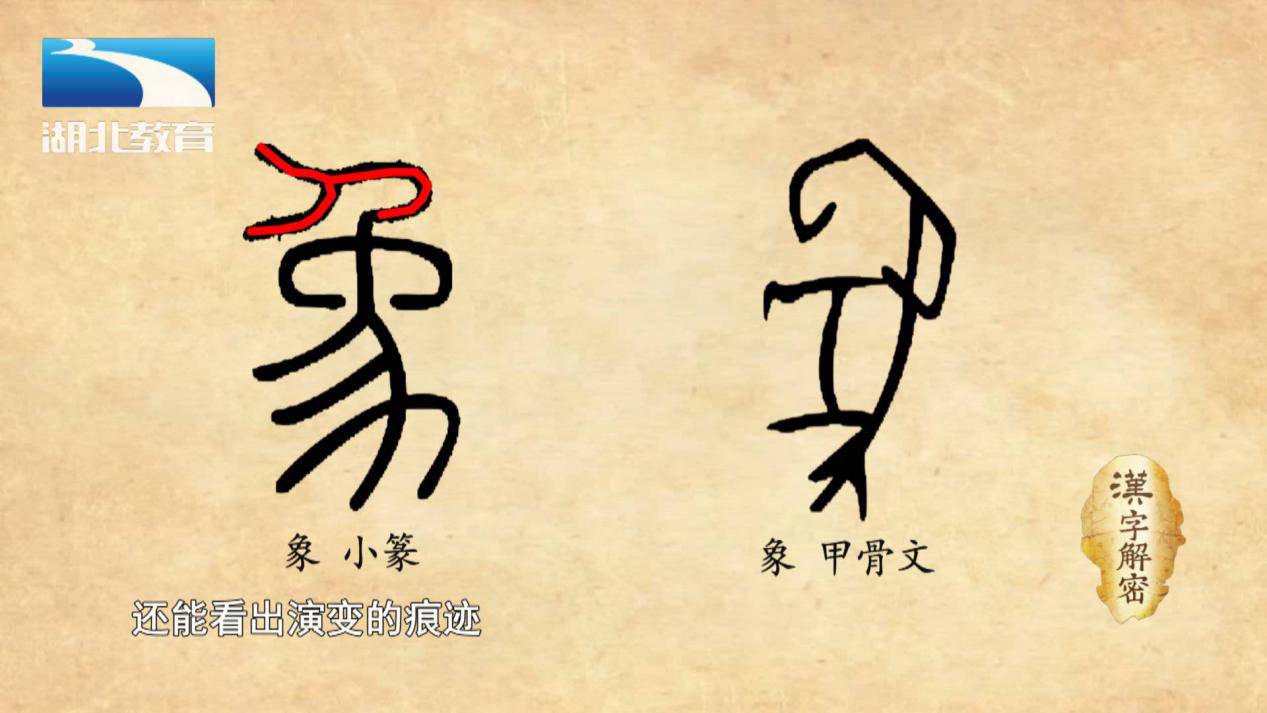 小篆将甲骨文字形中大象的长鼻的形象写成了人形,基