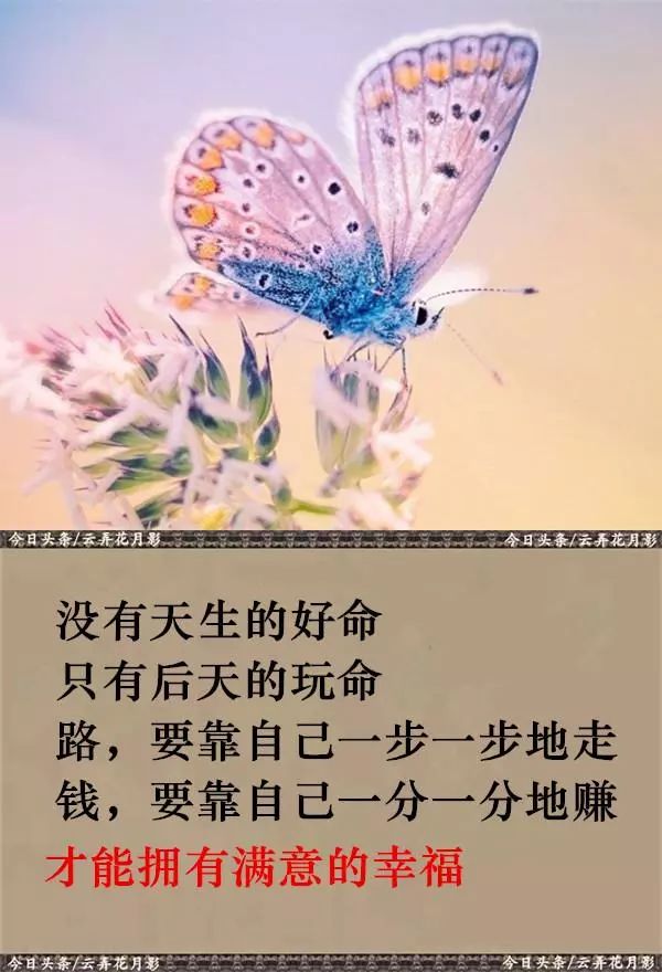 苦,一个人受;泪,一个人擦;伤,一个人抚;路,一个人走!