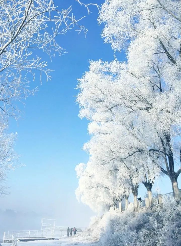最美雪景 全屏图片