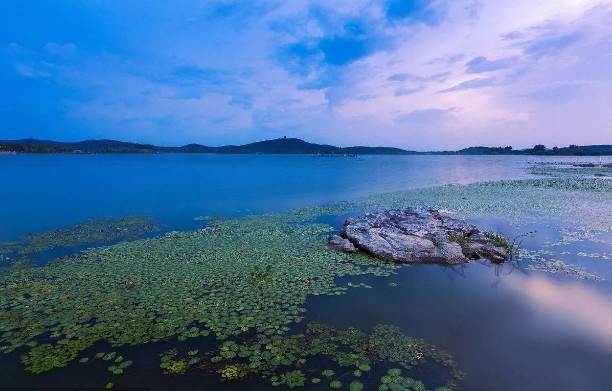 其實無錫從來不缺少風景,太湖用它豐沛的水脈,早已為人們凝聚出一池