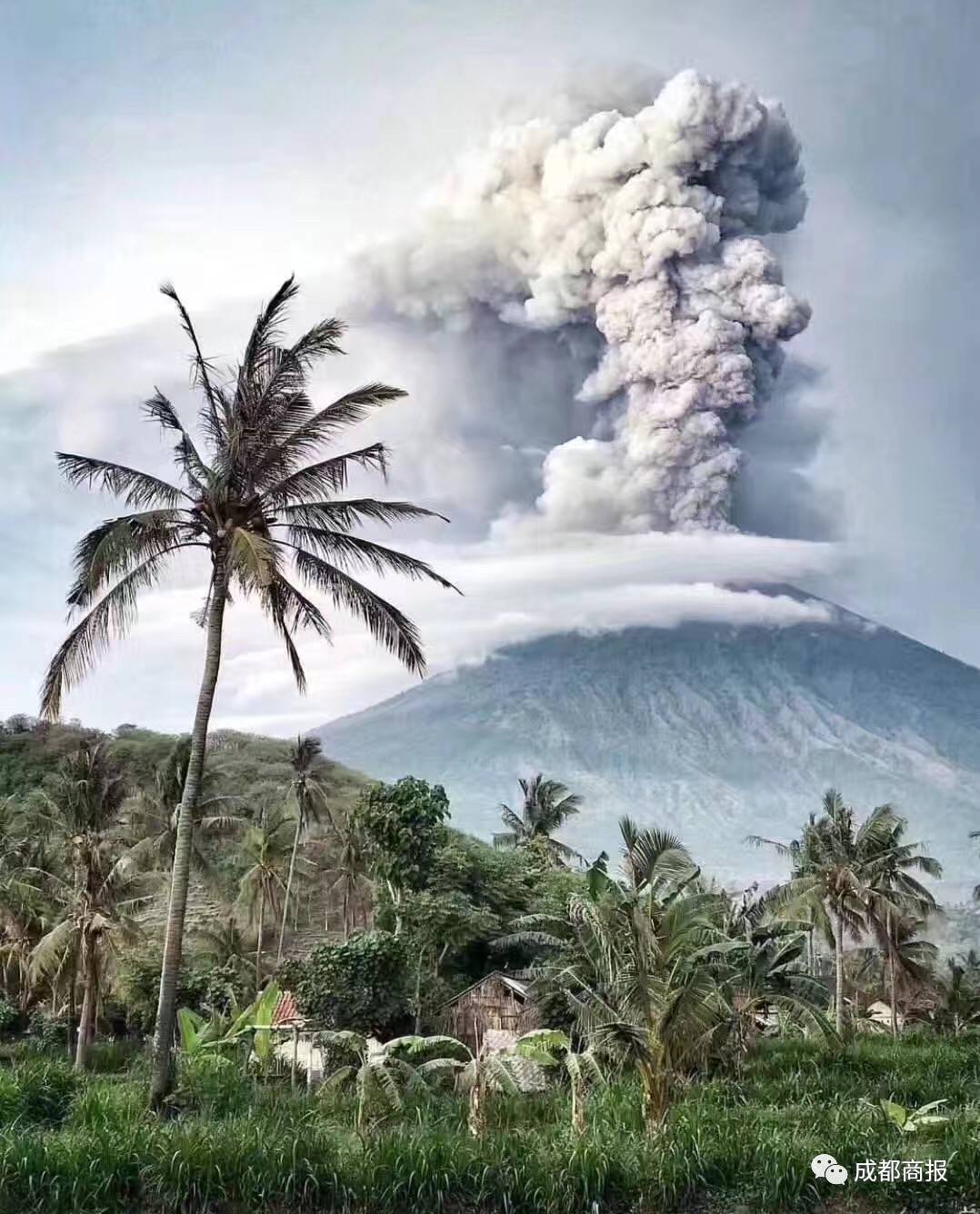 巴厘岛火山喷发17万中国游客滞留游客讲述经历多架包机出发接同胞