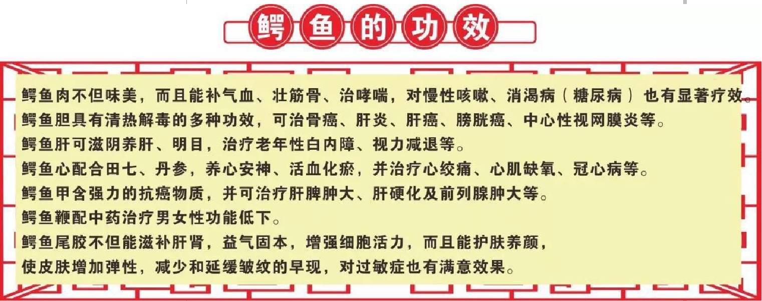 美食 正文 我们普通的人 平时应该很少吃到鳄鱼肉 也没有机会去吃