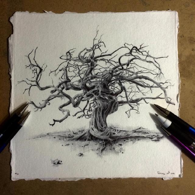 写实素描,一棵树的创作,就知道画者的功底