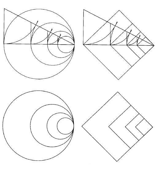 黄金分割构成作业图片