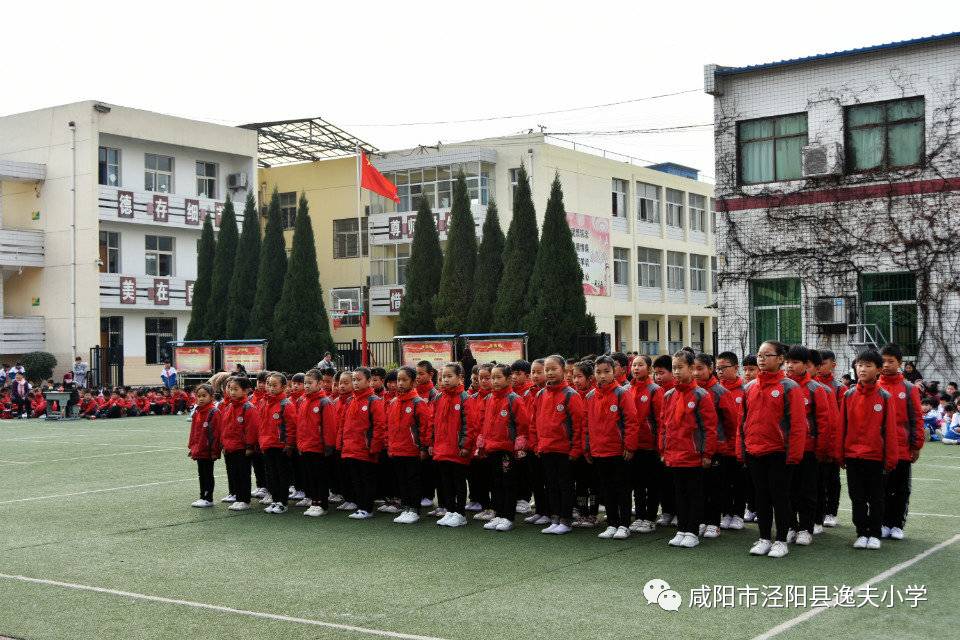 逸夫小學舉行隊列隊形,足球操比賽