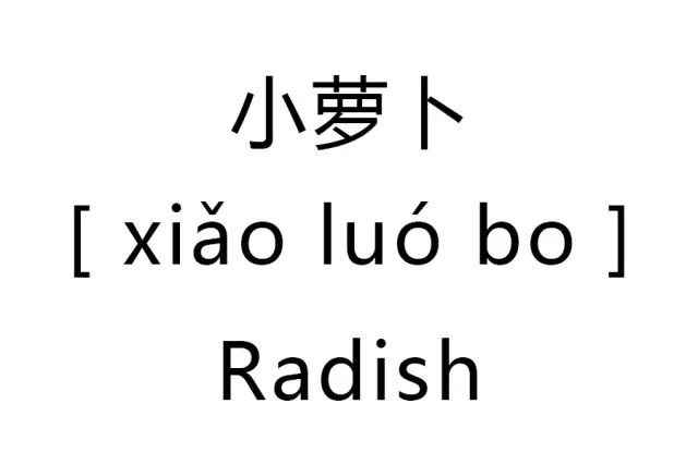 海底小縱隊系列小蘿蔔