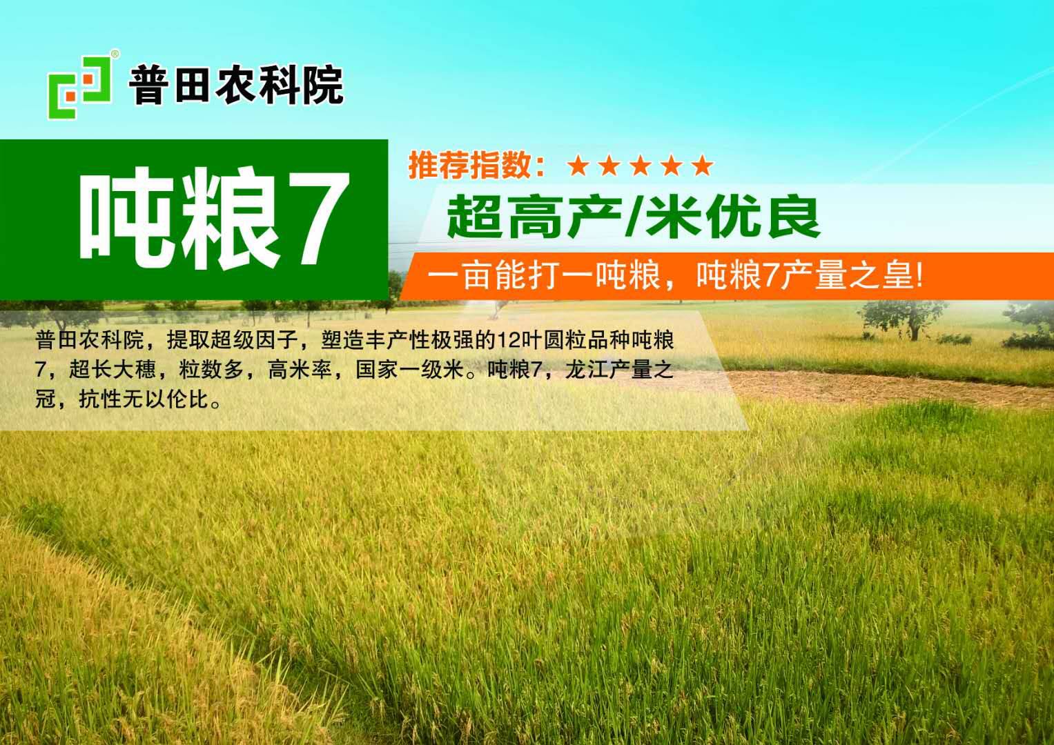 【喜訊】黑龍江公示第二批67家水稻託市收購庫點!快看看都有哪些!