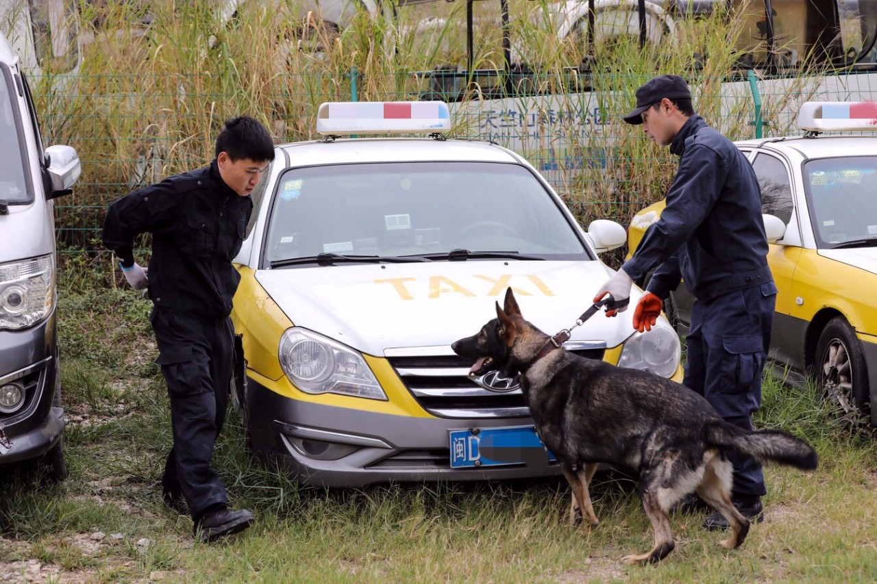 警犬狗狗世界里的警察蜀黍汪汪汪不好好锻炼怎么抓坏人