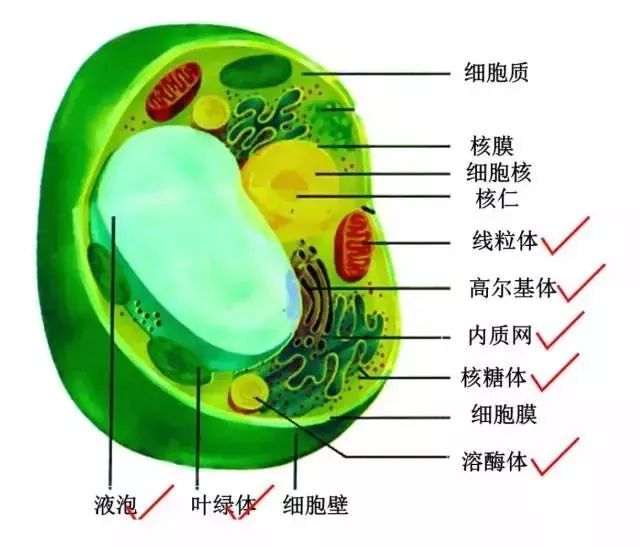 证明你曾经厉害过的18张图看到最后扎心了