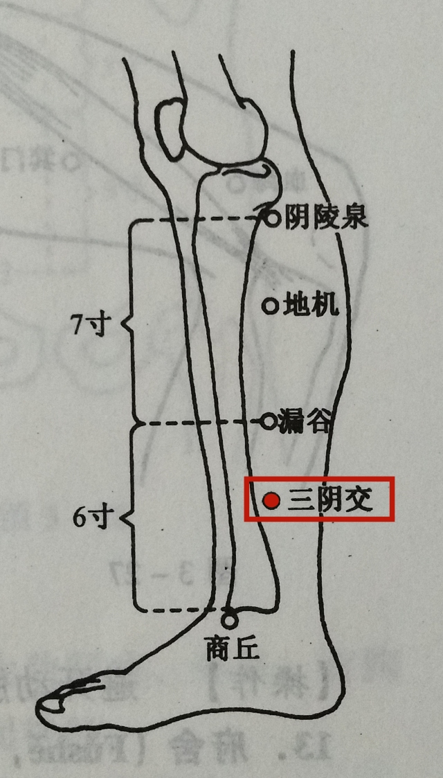 艾灸脾阳虚的艾灸方法及操作演示