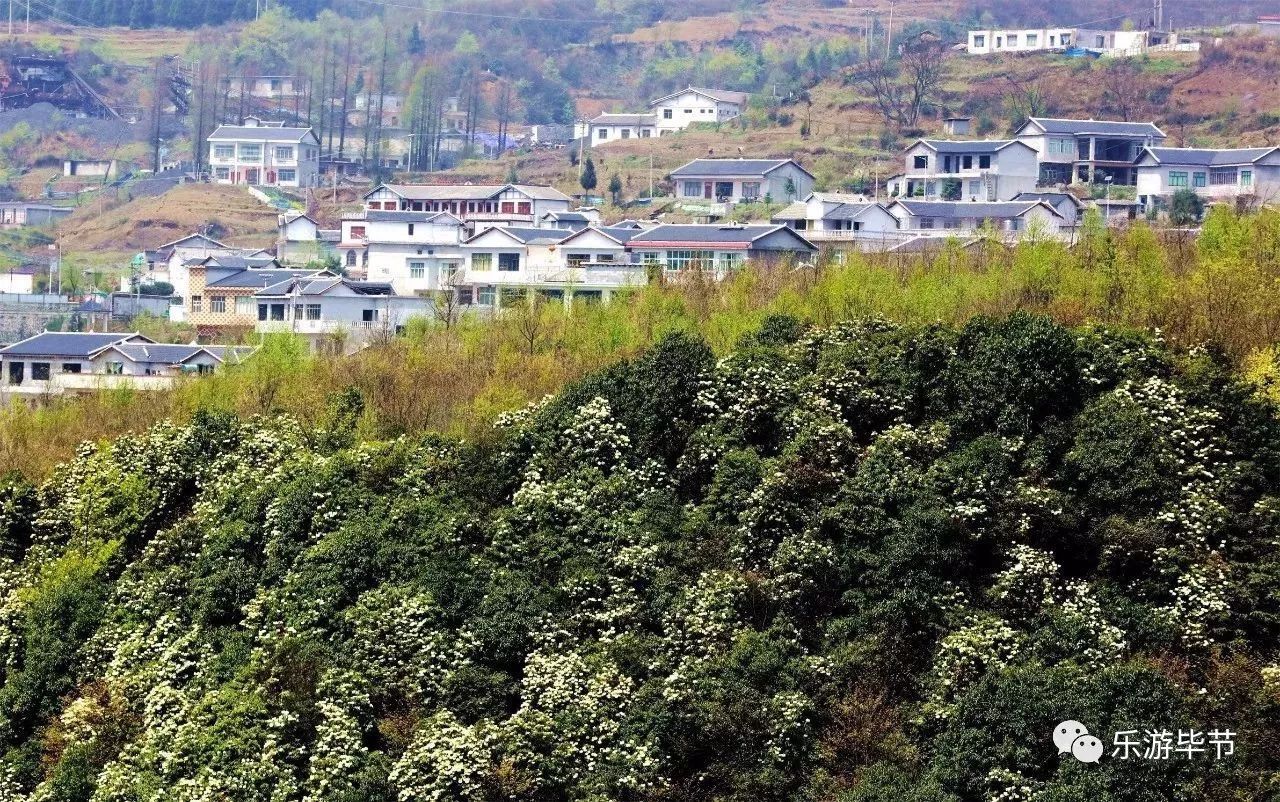 "古诗里描述的乡村景象,是在外游子魂牵梦绕的故土家园的场景,小屯村