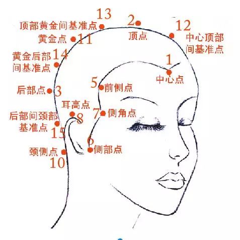 【连载1】剪烫技术操作图解之头部分区