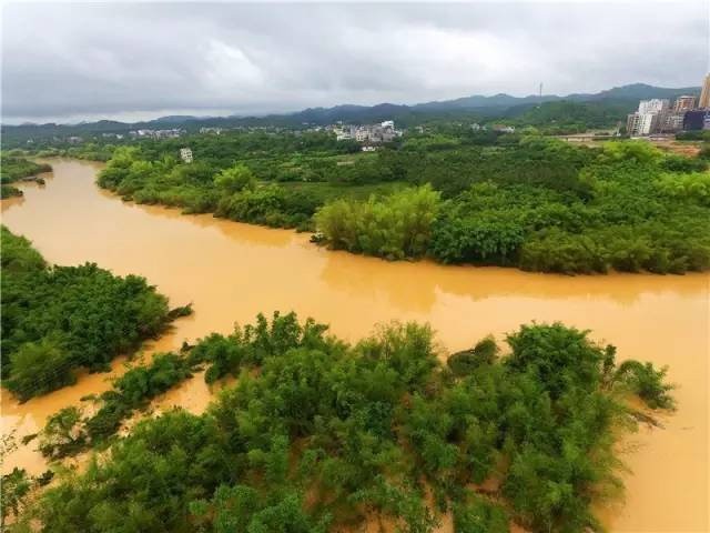 化州平定东门被曝填河造地,群众聚集讨说法