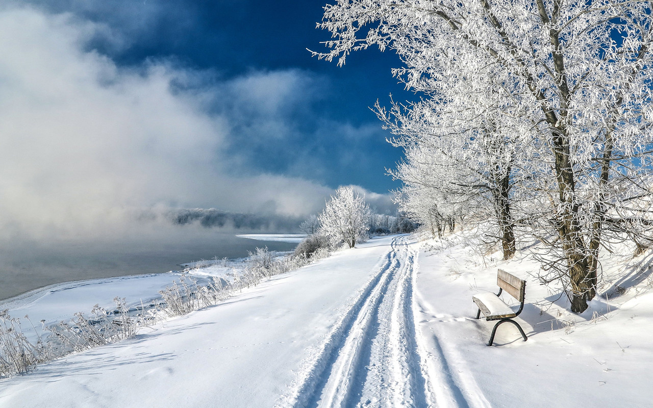 北方冬天雪景照片图片