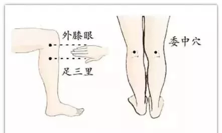 用科学的方法给膝关节进行推拿按摩,也是保养膝盖的好方法