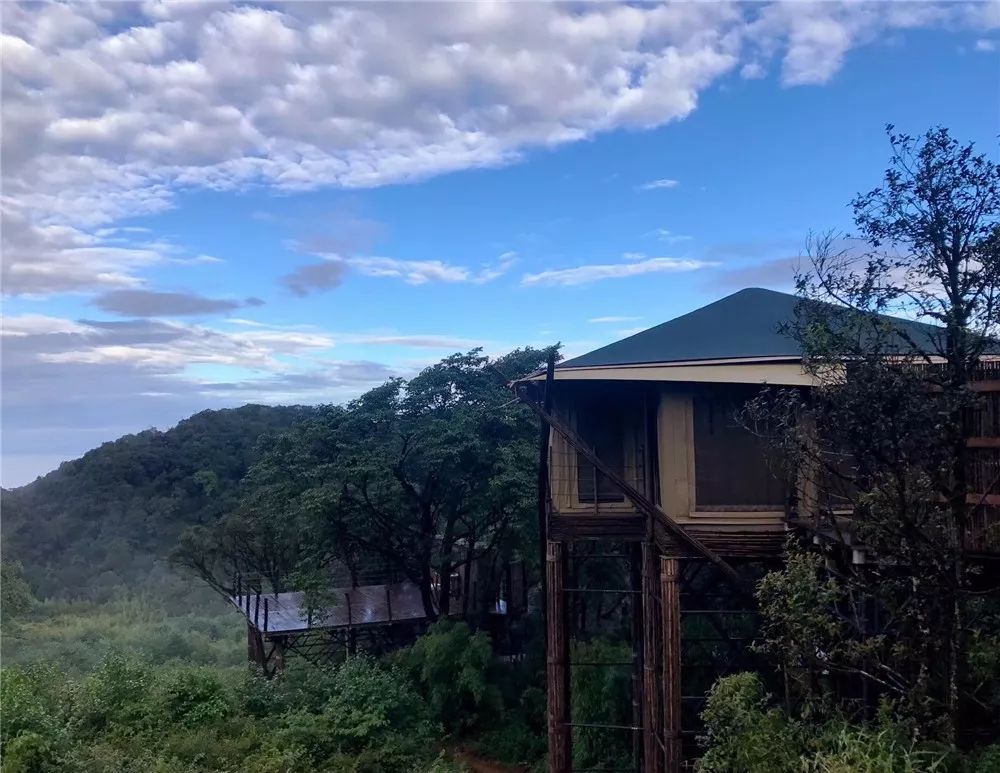 營地所在地高黎貢山,作為世界自然遺產