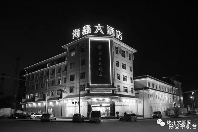 彬县铂金国际酒店图片