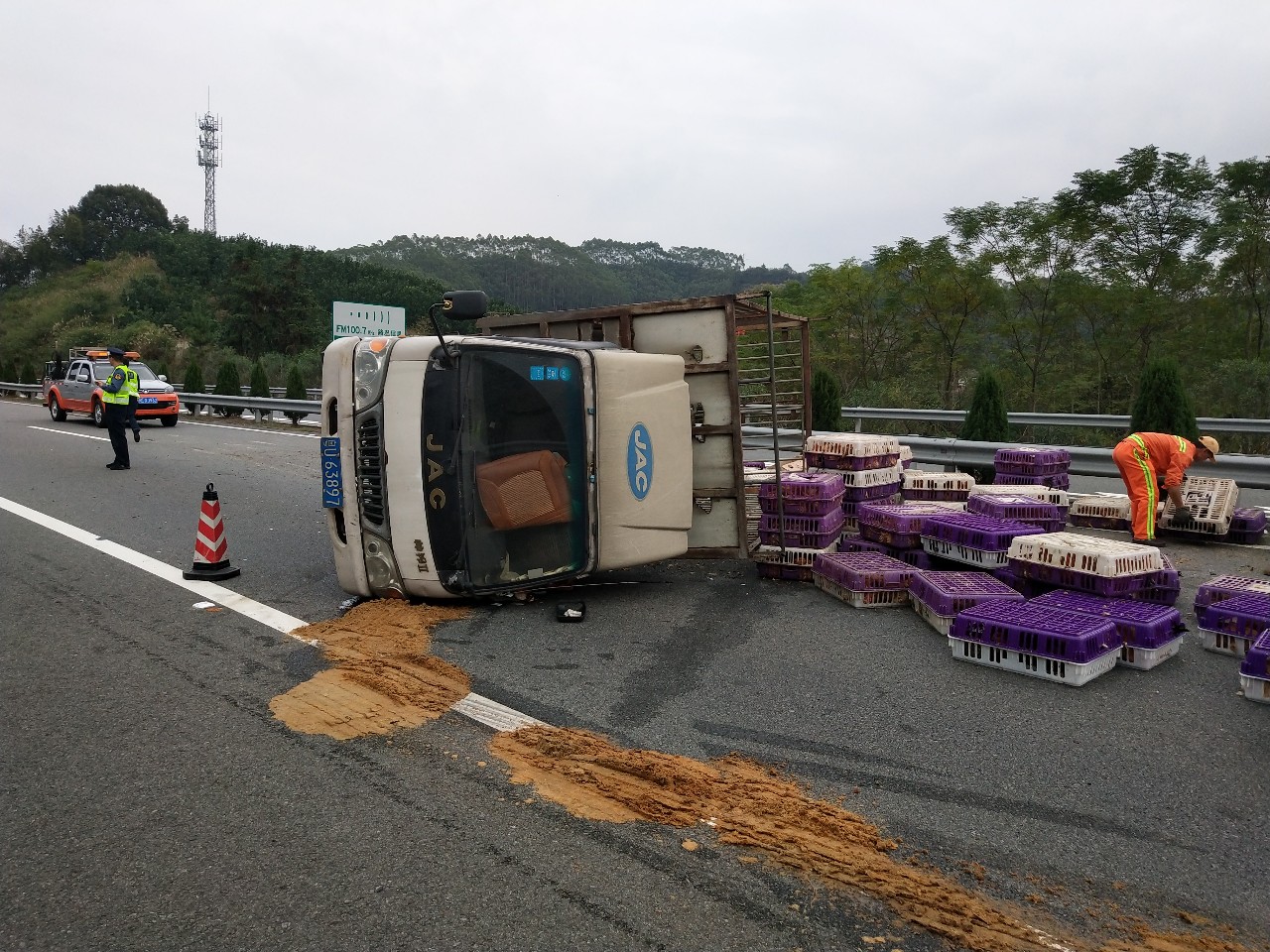 福诏高速平和文峰段,一小货车运载130多筐活鸡翻车