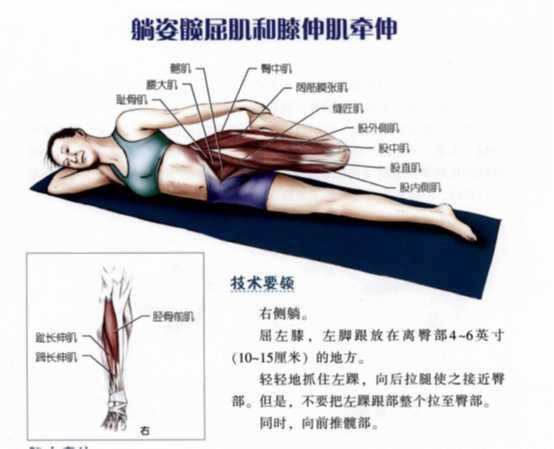 拉韧带的基本动作图片