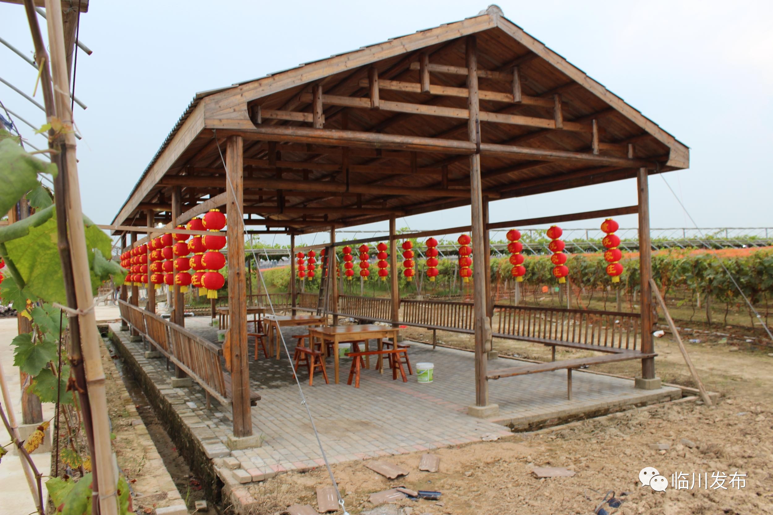 目前已完成休閒農莊園區公路,大門門樓,提子園,觀光長廊,停車場,酒店