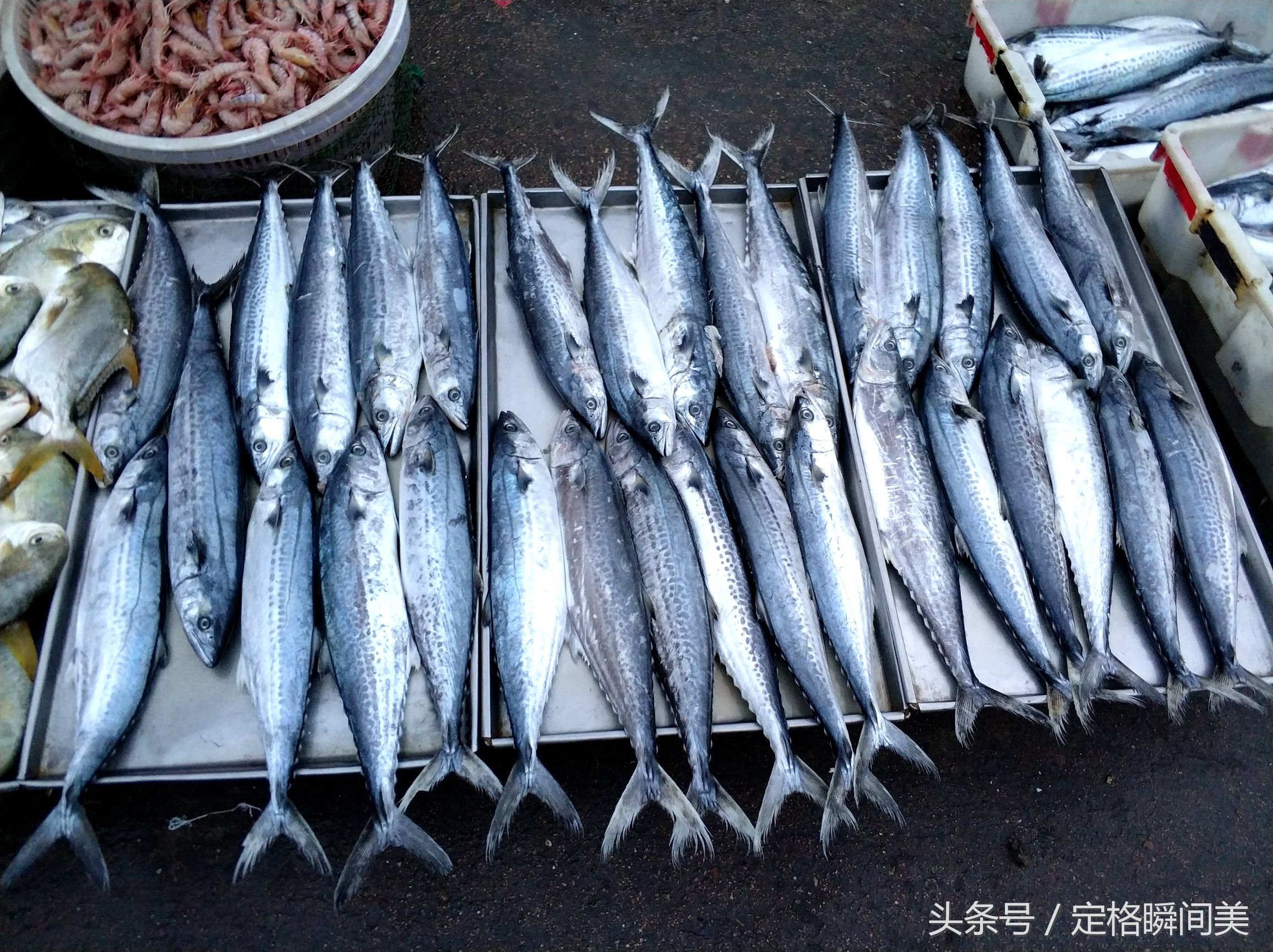 魯東城裡滿大集都是賣魚的海娃子魚3元一斤鴉片魚35元一斤