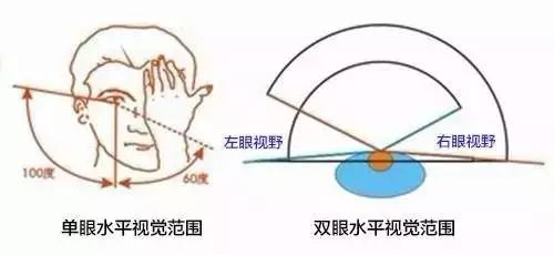 水平视野达到150度图片图片