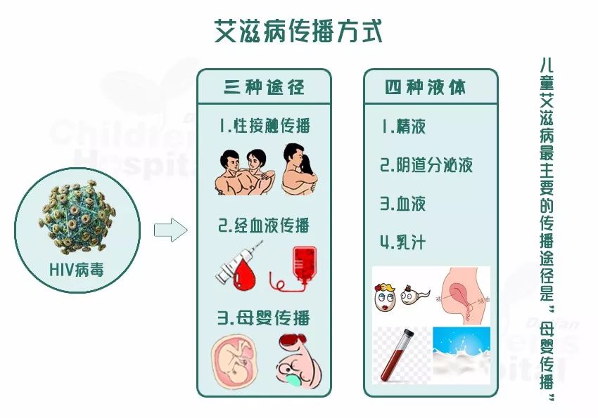 艾滋病传染源图片