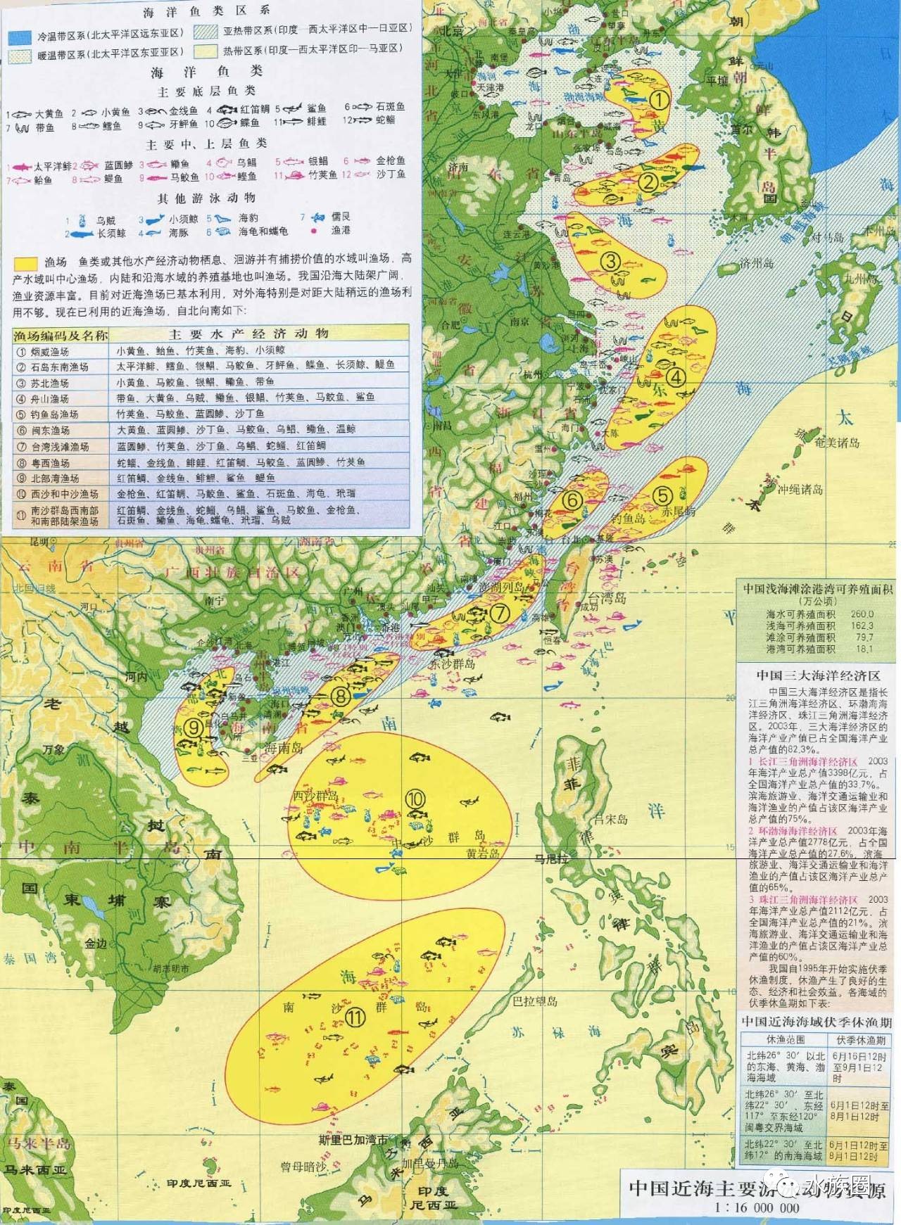 中国海区渔区图电子版图片