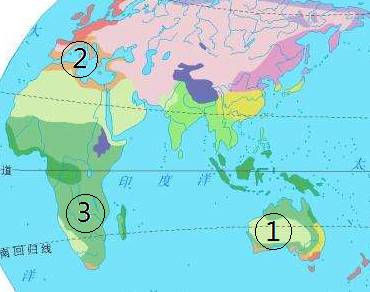 氣候部分重點知識在線測試題(3)世界主要氣候類型的分佈